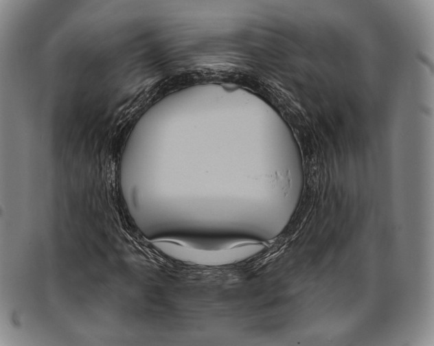 X0000096471061200802211145