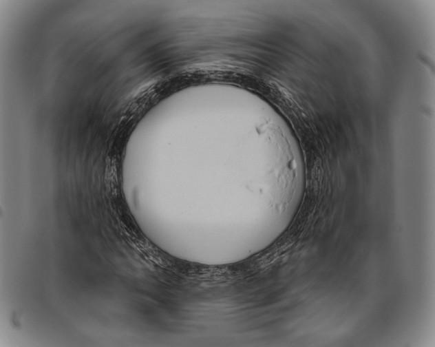 X0000096471062200802211145