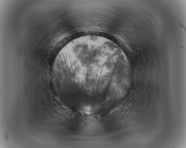 X0000096471063200802211145