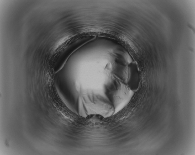 X0000096471064200802211145