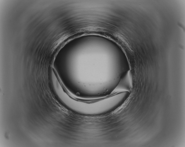 X0000096471065200802211145