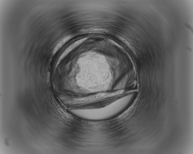 X0000096471066200802211145