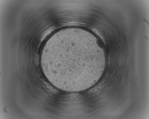 X0000096471067200802211145