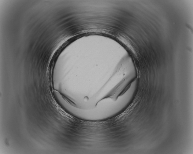 X0000096471068200802211145