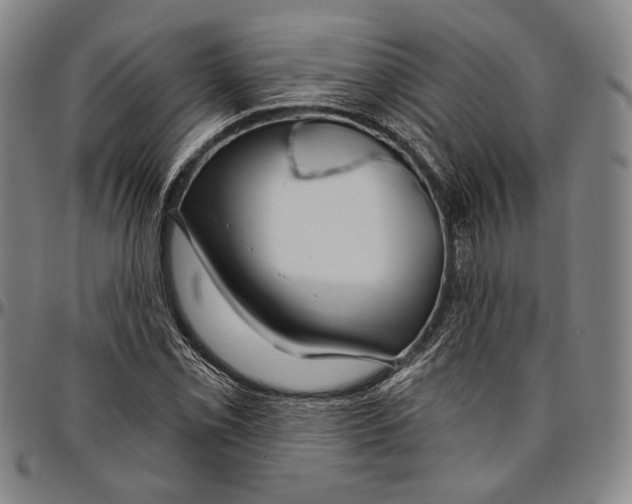 X0000096471069200802211145