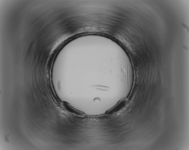 X0000096471070200802211145