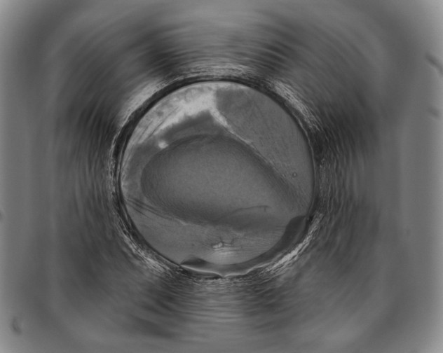 X0000096471071200802211145