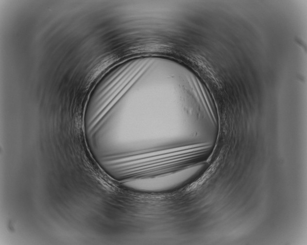 X0000096471073200802211144