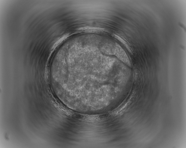 X0000096471074200802211144