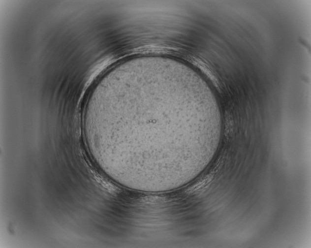 X0000096471075200802211144