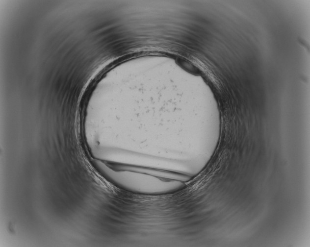 X0000096471076200802211144