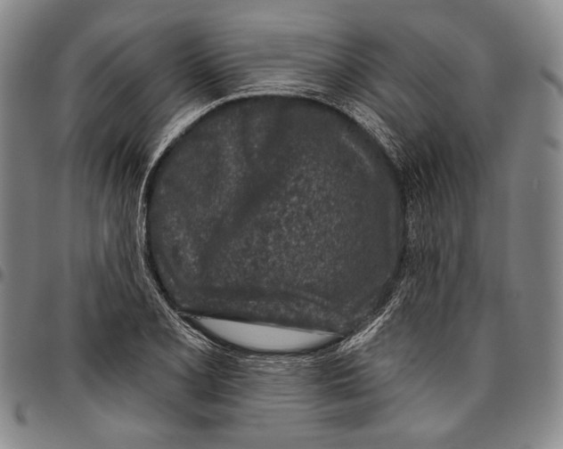 X0000096471077200802211144