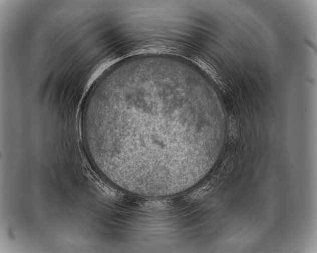 X0000096471078200802211144