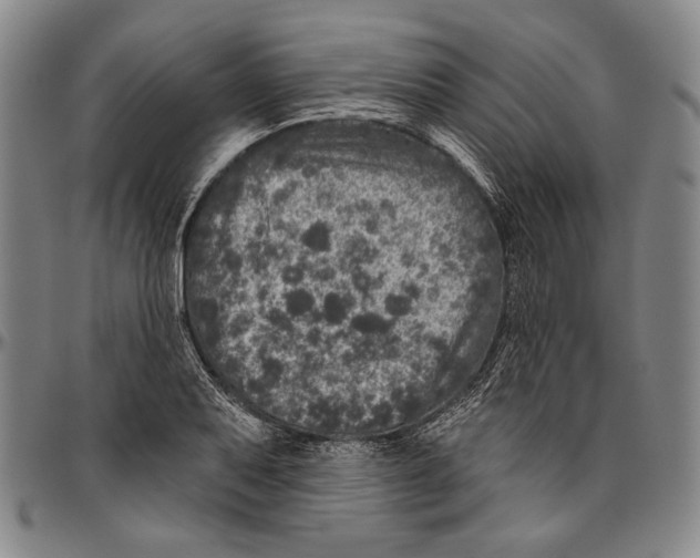 X0000096471079200802211144