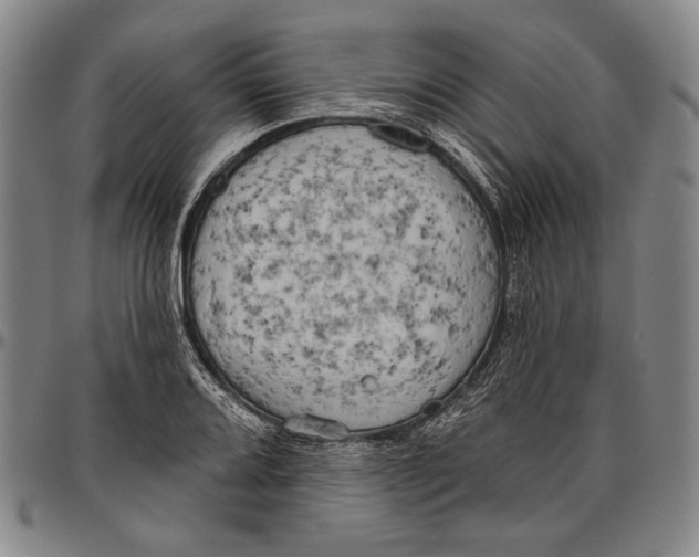 X0000096471080200802211144