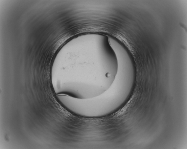 X0000096471081200802211144