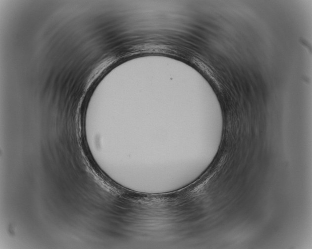 X0000096471082200802211144