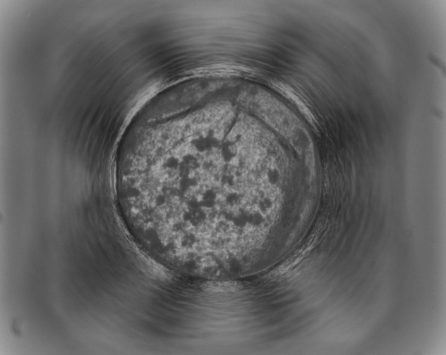 X0000096471083200802211144