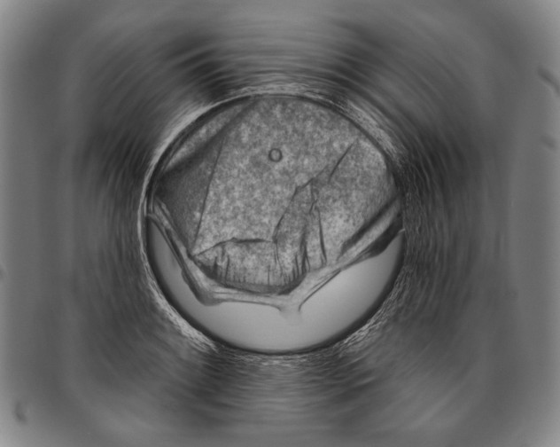 X0000096471084200802211144