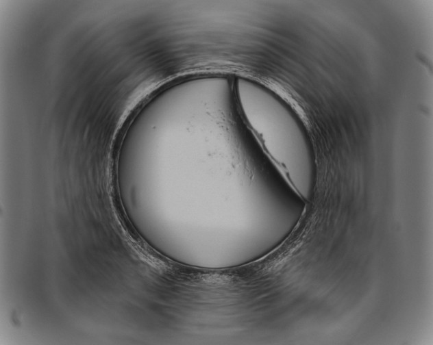 X0000096471085200802211144