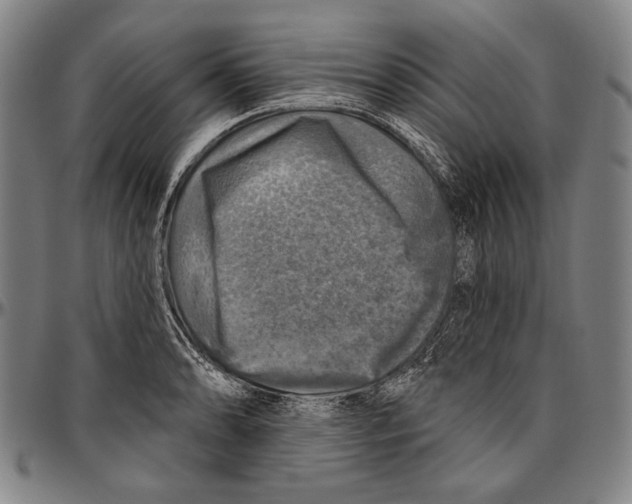 X0000096471086200802211144