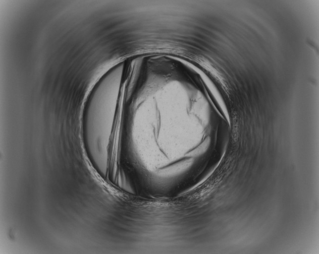 X0000096471088200802211144