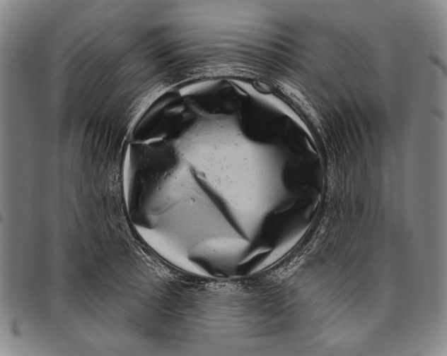 X0000096471089200802211144