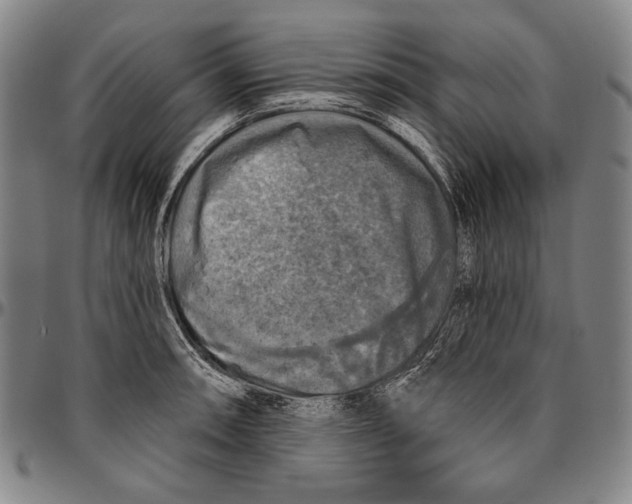 X0000096471090200802211144