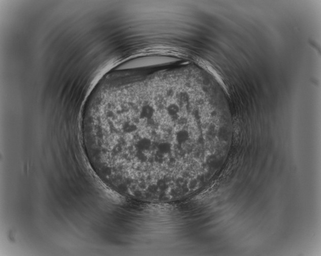 X0000096471091200802211144