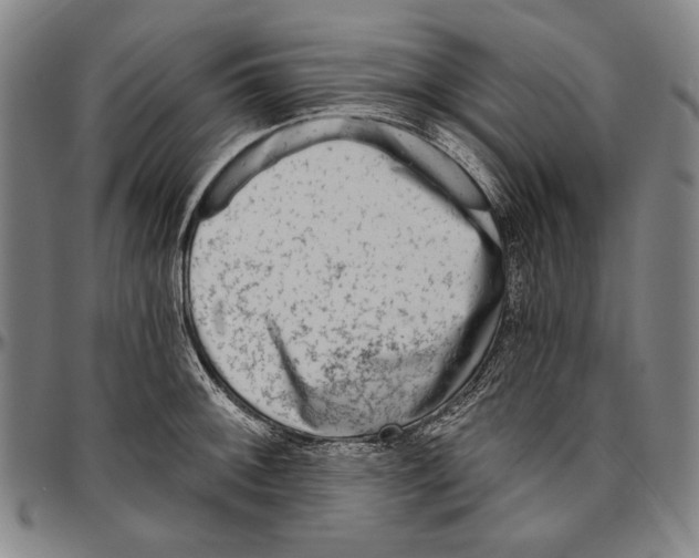 X0000096471092200802211144