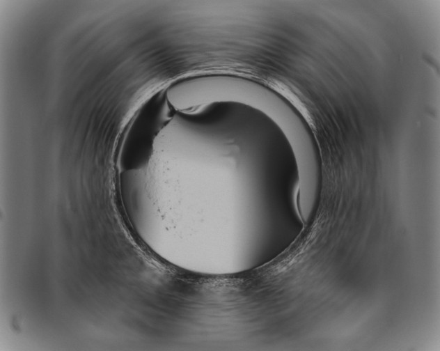 X0000096471093200802211144