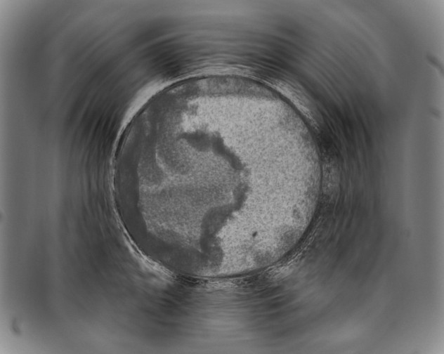 X0000096471094200802211144