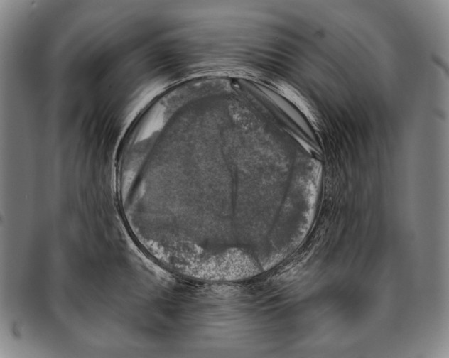 X0000096471095200802211144