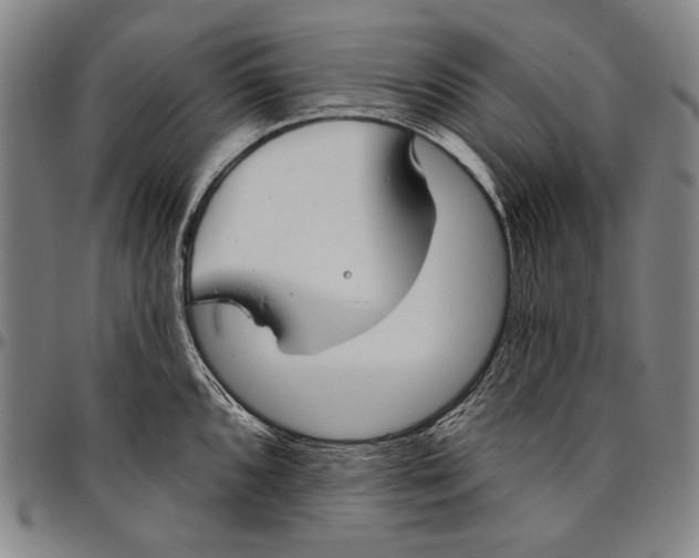 X0000096471096200802211144