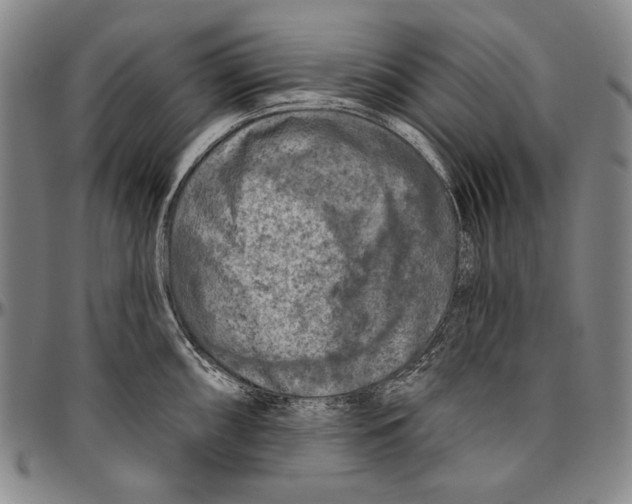 X0000096471098200802211144