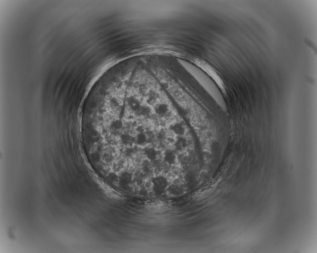 X0000096471099200802211144