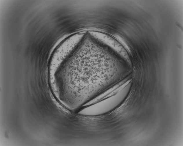 X0000096471100200802211144