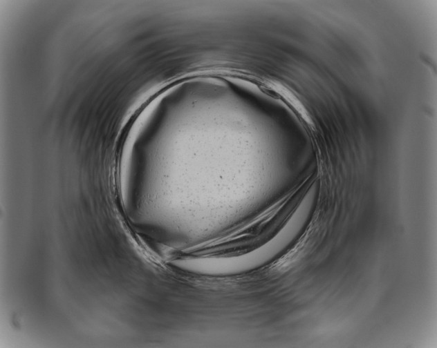 X0000096471101200802211144