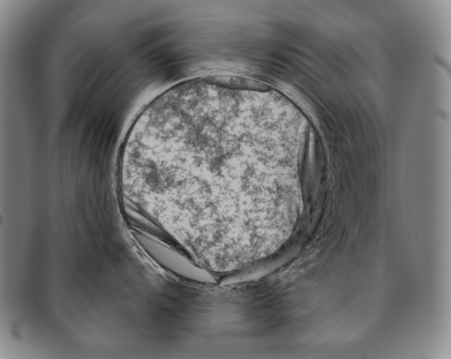 X0000096471104200802211144