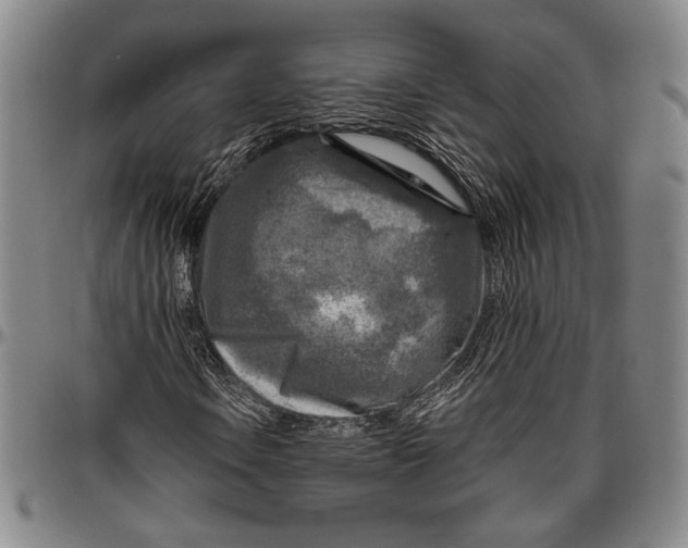 X0000096471106200802211143