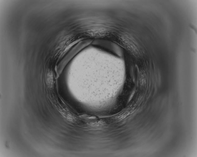 X0000096471108200802211143