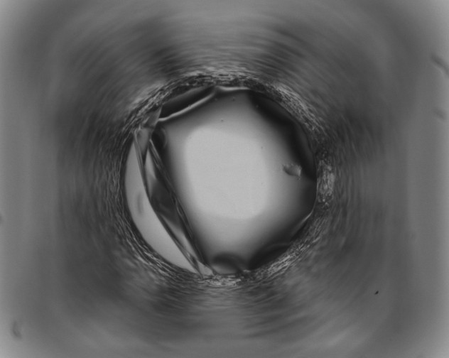 X0000096471110200802211143