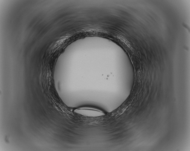 X0000096471111200802211143