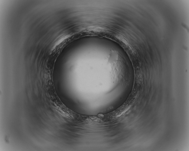 X0000096471112200802211143