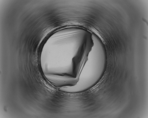 X0000096471116200802211143