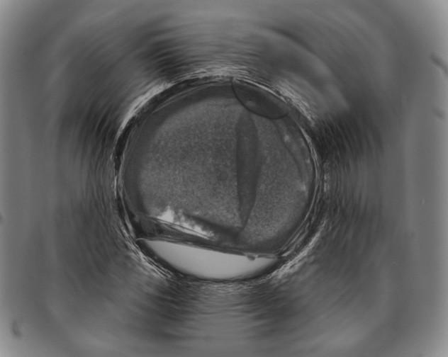 X0000096471117200802211143