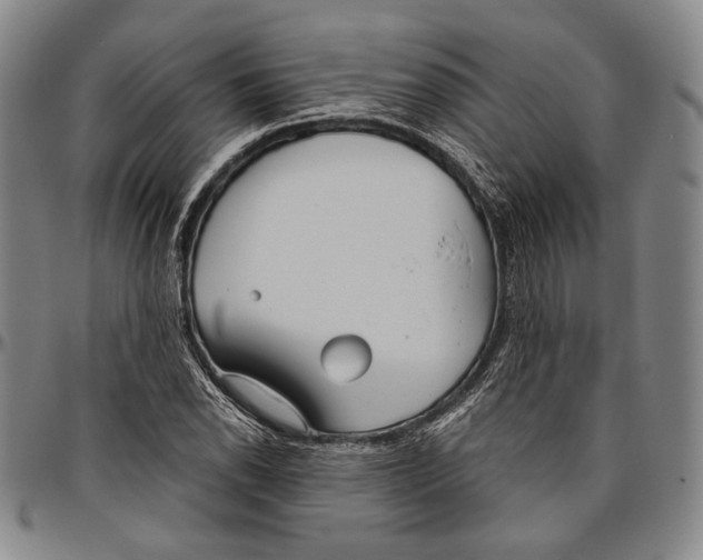 X0000096471118200802211143