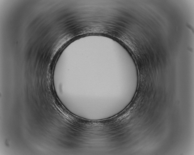 X0000096471119200802211143