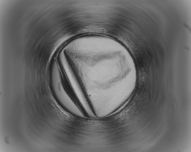 X0000096471123200802211143