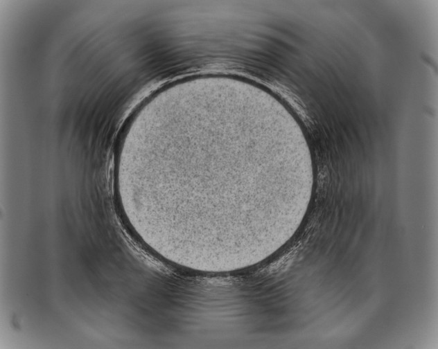 X0000096471126200802211143